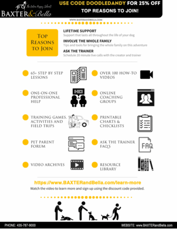 baxter-bella-online-puppy-school